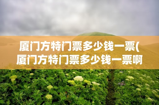厦门方特门票多少钱一票(厦门方特门票多少钱一票啊)