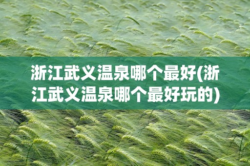 浙江武义温泉哪个最好(浙江武义温泉哪个最好玩的)