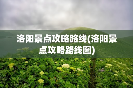 洛阳景点攻略路线(洛阳景点攻略路线图)