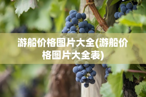 游船价格图片大全(游船价格图片大全表)