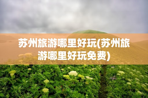 苏州旅游哪里好玩(苏州旅游哪里好玩免费)