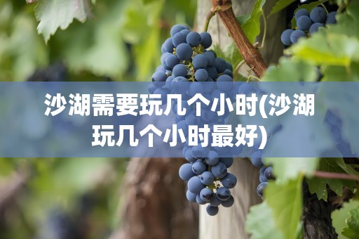 沙湖需要玩几个小时(沙湖玩几个小时最好)