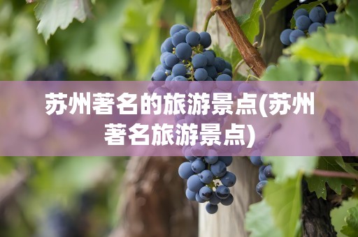 苏州著名的旅游景点(苏州著名旅游景点)