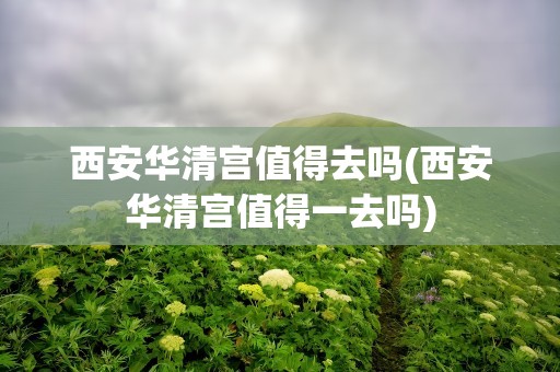 西安华清宫值得去吗(西安华清宫值得一去吗)