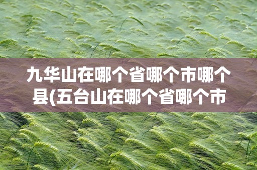 九华山在哪个省哪个市哪个县(五台山在哪个省哪个市哪个县)
