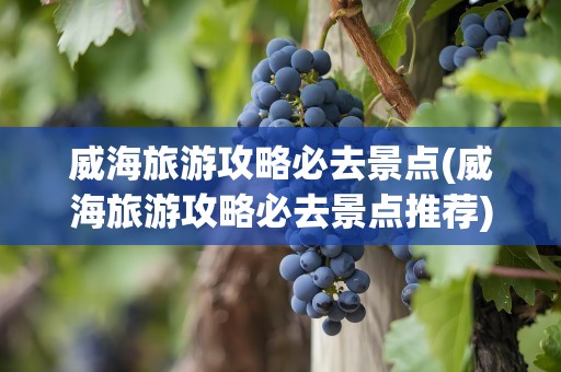 威海旅游攻略必去景点(威海旅游攻略必去景点推荐)