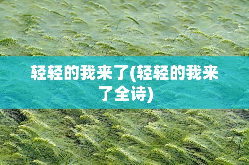 轻轻的我来了(轻轻的我来了全诗)