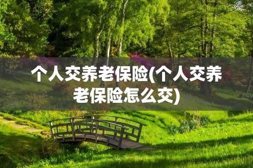 个人交养老保险(个人交养老保险怎么交)