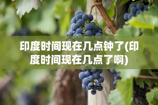 印度时间现在几点钟了(印度时间现在几点了啊)