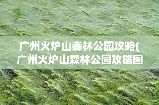 广州火炉山森林公园攻略(广州火炉山森林公园攻略图)