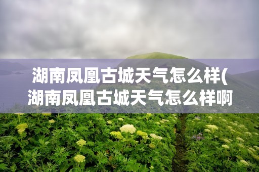 湖南凤凰古城天气怎么样(湖南凤凰古城天气怎么样啊)