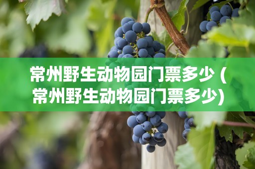 常州野生动物园门票多少 (常州野生动物园门票多少)