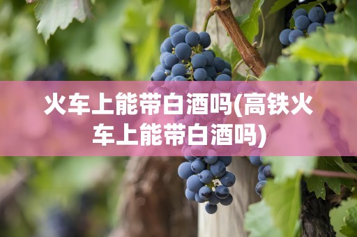 火车上能带白酒吗(高铁火车上能带白酒吗)