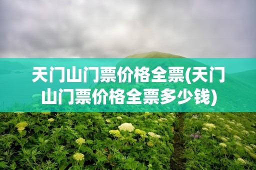 天门山门票价格全票(天门山门票价格全票多少钱)