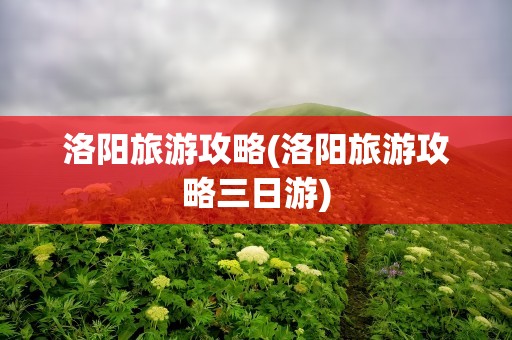 洛阳旅游攻略(洛阳旅游攻略三日游)
