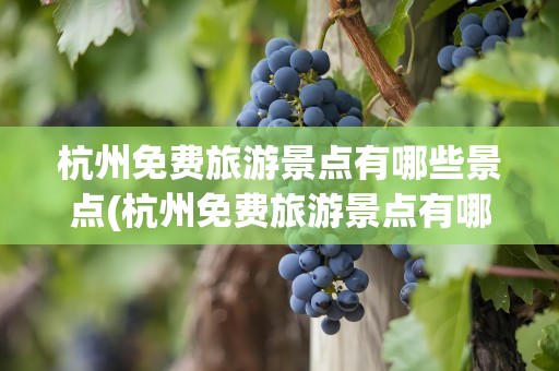 杭州免费旅游景点有哪些景点(杭州免费旅游景点有哪些景点24)