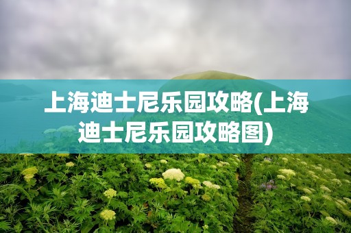上海迪士尼乐园攻略(上海迪士尼乐园攻略图)