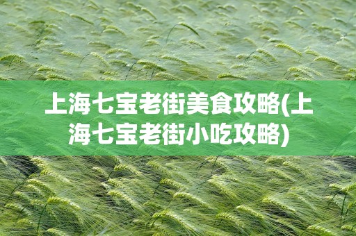 上海七宝老街美食攻略(上海七宝老街小吃攻略)