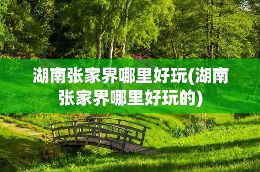 湖南张家界哪里好玩(湖南张家界哪里好玩的)