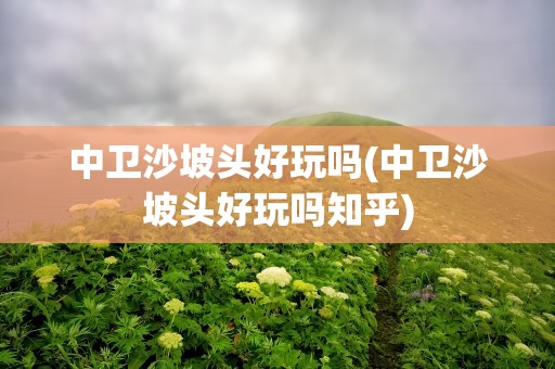 中卫沙坡头好玩吗(中卫沙坡头好玩吗知乎)