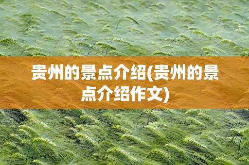 贵州的景点介绍(贵州的景点介绍作文)
