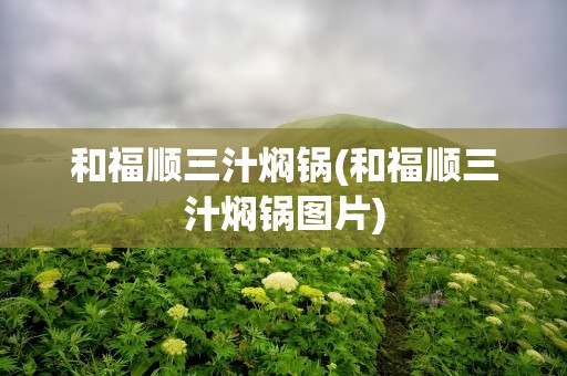和福顺三汁焖锅(和福顺三汁焖锅图片)