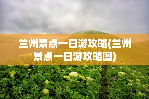 兰州景点一日游攻略(兰州景点一日游攻略图)
