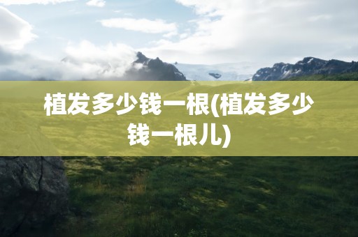 植发多少钱一根(植发多少钱一根儿)