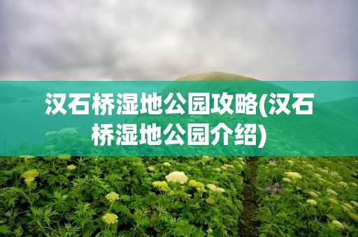 汉石桥湿地公园攻略(汉石桥湿地公园介绍)