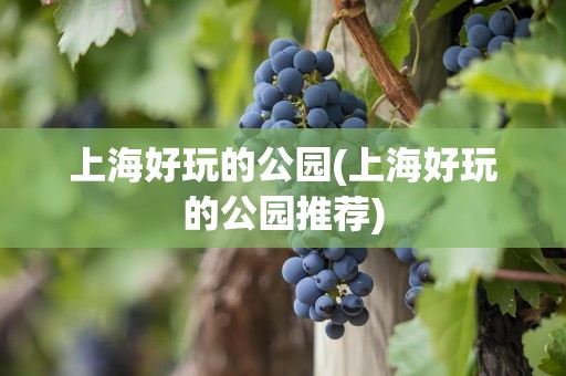 上海好玩的公园(上海好玩的公园推荐)
