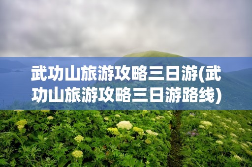 武功山旅游攻略三日游(武功山旅游攻略三日游路线)