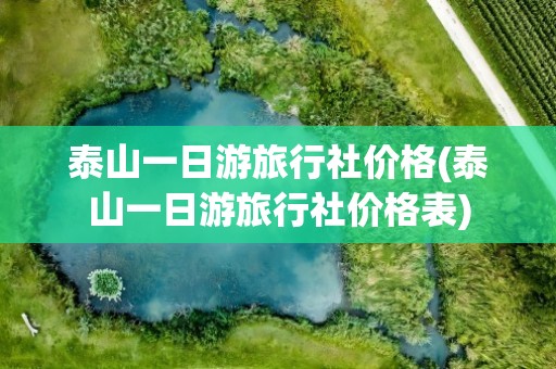 泰山一日游旅行社价格(泰山一日游旅行社价格表)
