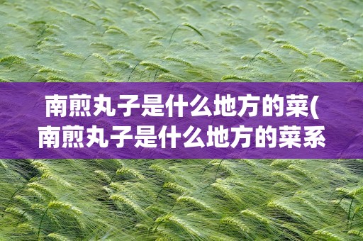 南煎丸子是什么地方的菜(南煎丸子是什么地方的菜系)
