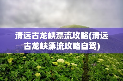 清远古龙峡漂流攻略(清远古龙峡漂流攻略自驾)