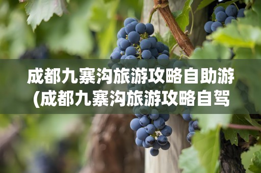 成都九寨沟旅游攻略自助游(成都九寨沟旅游攻略自驾)