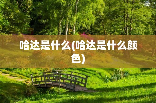哈达是什么(哈达是什么颜色)