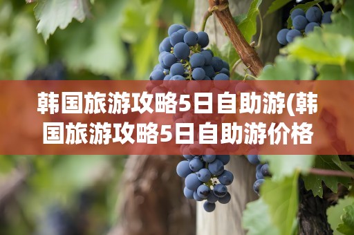 韩国旅游攻略5日自助游(韩国旅游攻略5日自助游价格)