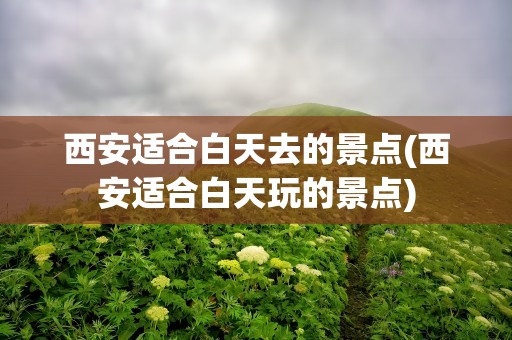 西安适合白天去的景点(西安适合白天玩的景点)