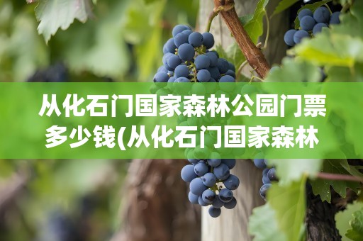从化石门国家森林公园门票多少钱(从化石门国家森林公园门票多少钱啊)