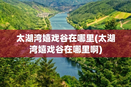 太湖湾嬉戏谷在哪里(太湖湾嬉戏谷在哪里啊)