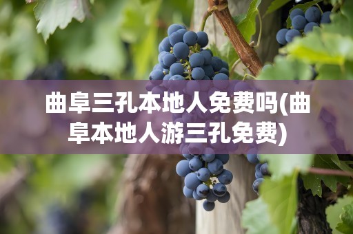 曲阜三孔本地人免费吗(曲阜本地人游三孔免费)