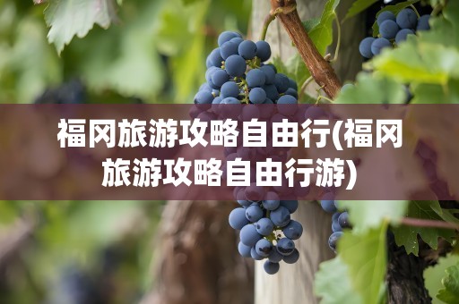 福冈旅游攻略自由行(福冈旅游攻略自由行游)