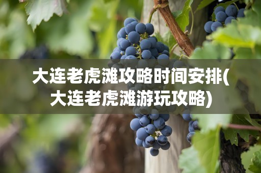 大连老虎滩攻略时间安排(大连老虎滩游玩攻略)
