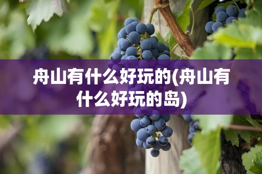 舟山有什么好玩的(舟山有什么好玩的岛)