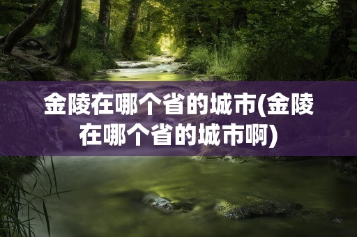 金陵在哪个省的城市(金陵在哪个省的城市啊)