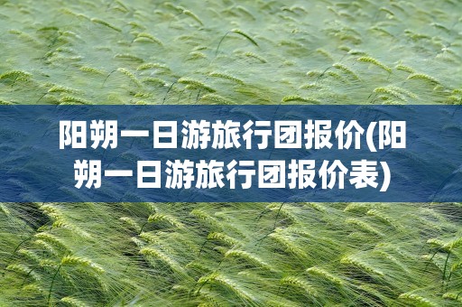 阳朔一日游旅行团报价(阳朔一日游旅行团报价表)
