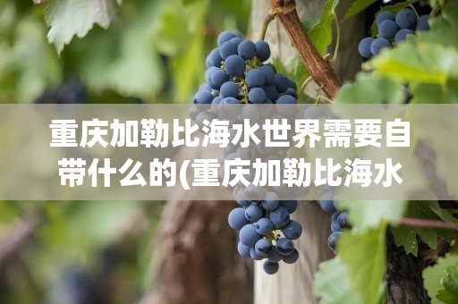 重庆加勒比海水世界需要自带什么的(重庆加勒比海水世界需要带什么东西)