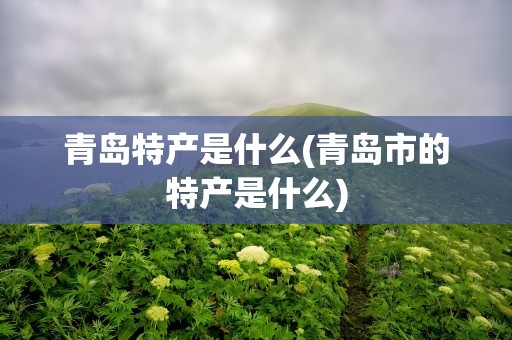 青岛特产是什么(青岛市的特产是什么)