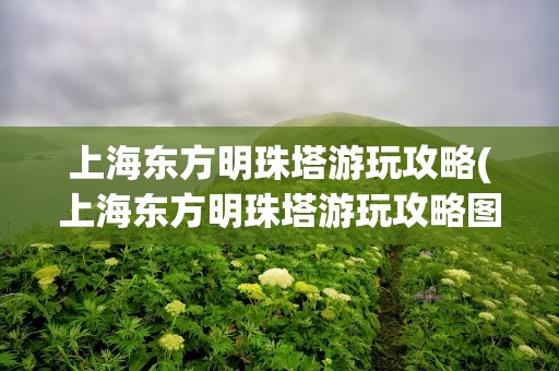 上海东方明珠塔游玩攻略(上海东方明珠塔游玩攻略图)
