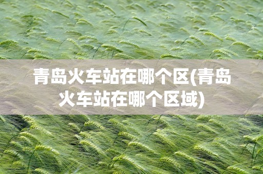 青岛火车站在哪个区(青岛火车站在哪个区域)